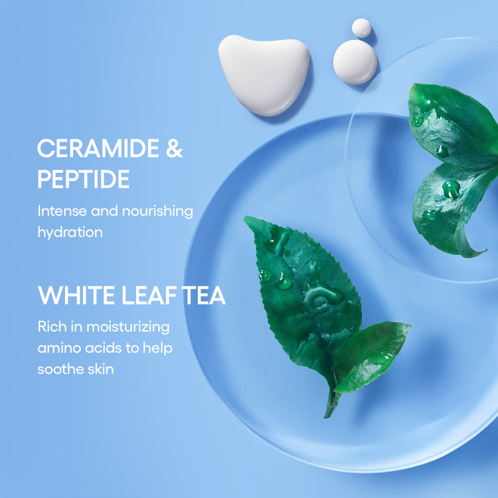Cream Skin Mist Duo Your Daily Beauty Care Pick