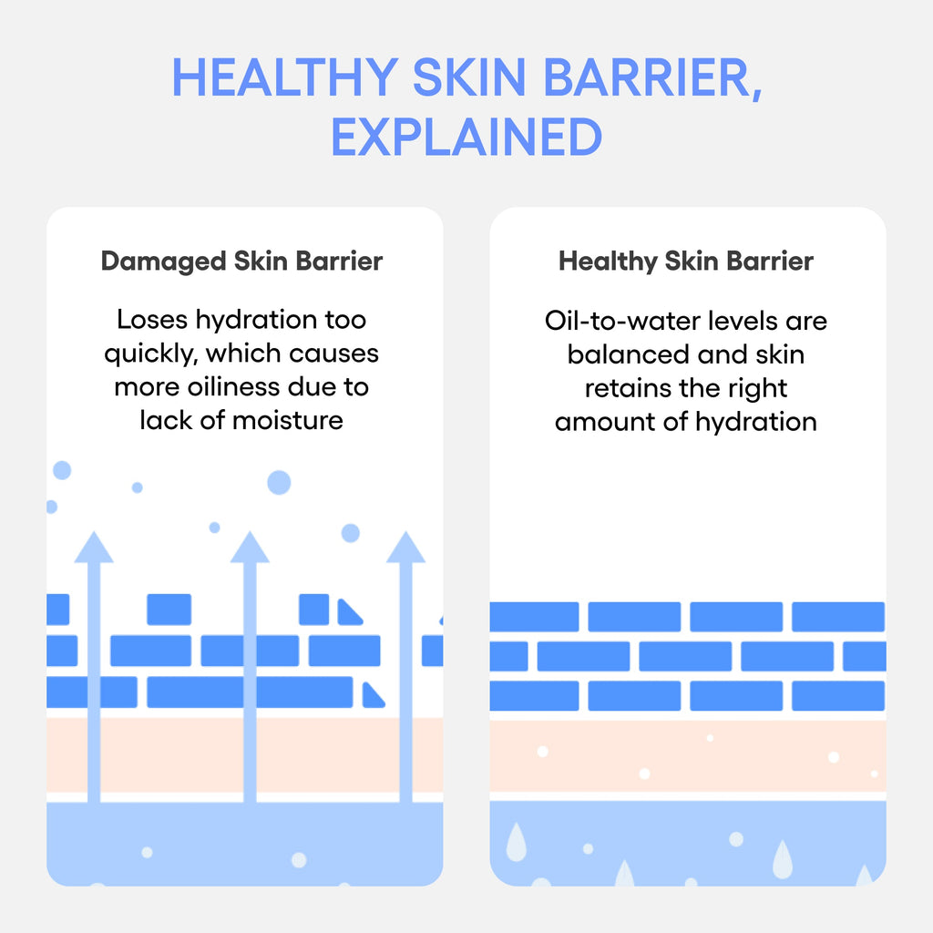 Water Bank Blue Hyaluronic Cream Moisturizer A Thoughtful Skincare Ritual